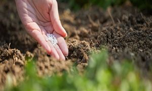 氮肥市場供應(yīng)現(xiàn)狀 2023全球氮肥市場前景研究分析