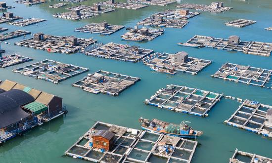 生鮮O2O行業(yè)分析報(bào)告2023生鮮O2O市場前瞻預(yù)測