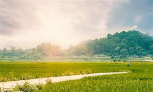 春光正好鄉(xiāng)村迎來大批游客 中國鄉(xiāng)村旅游行業(yè)市場(chǎng)分析2023