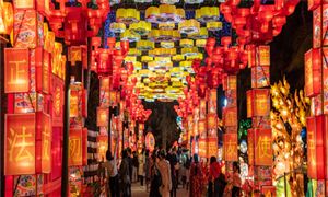已認(rèn)定1557項(xiàng) 國(guó)家級(jí)非遺代表性項(xiàng)目 民俗文化行業(yè)現(xiàn)狀與發(fā)展趨勢(shì)及前景預(yù)測(cè)報(bào)告