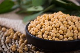 加快推動(dòng)《糧食安全保障法》出臺(tái) 2023年我國糧食產(chǎn)需將處緊平衡態(tài)勢