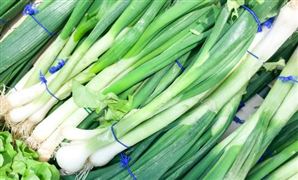 2023大蔥種植行業(yè)分析及發(fā)展現(xiàn)狀分析
