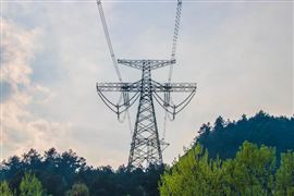 中國移動發(fā)布2022年年度業(yè)績 通信業(yè)務總量持續(xù)兩位數增長