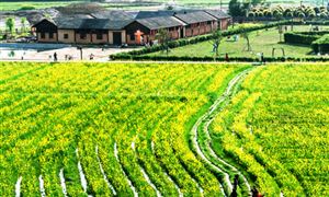 農(nóng)莊旅游行業(yè)發(fā)展態(tài)勢 農(nóng)莊旅游行業(yè)投資前景