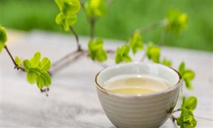茶多酚行業(yè)應(yīng)用哪些領(lǐng)域？茶多酚行業(yè)前景分析