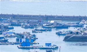 2023我國海運行業(yè)供給與海運市場深度分析