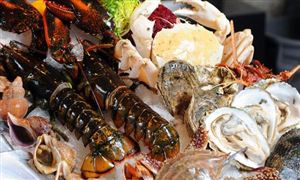  海洋功能性食品行業(yè)發(fā)展前景及投資分析