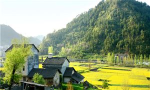 農(nóng)村生活垃圾處理行業(yè)發(fā)展趨勢及市場現(xiàn)狀分析