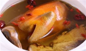 肉鴿養(yǎng)殖市場(chǎng)前景如何?肉鴿養(yǎng)殖行業(yè)調(diào)研2023