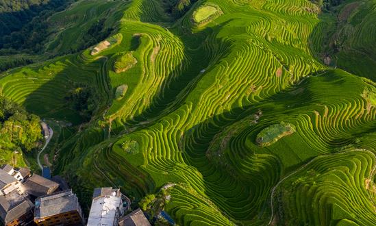 中國(guó)特色農(nóng)業(yè)旅游行業(yè)消費(fèi)需求 中國(guó)特色農(nóng)業(yè)旅游行業(yè)發(fā)展趨勢(shì)預(yù)測(cè)