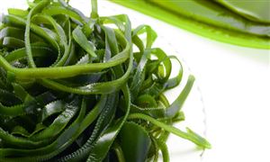 海產(chǎn)品深度分析 海帶行業(yè)市場(chǎng)深度分析2023