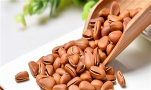 松子行業(yè)市場發(fā)展現(xiàn)狀及松子行業(yè)投資研究