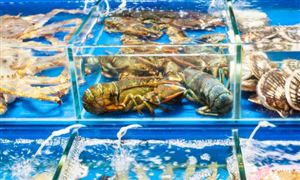 2023水產(chǎn)品流通市場發(fā)展現(xiàn)狀及前景分析