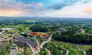 田園綜合體投資方向 2023田園綜合體市場(chǎng)投資前景及規(guī)劃研究