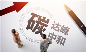 中國碳中和產業(yè)深度調研與投資前景分析2023