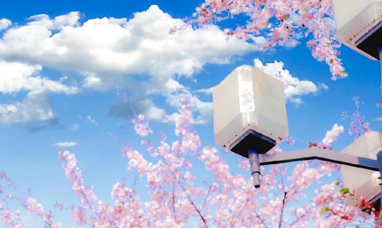 2023年動漫電影行業(yè)市場分析 國產(chǎn)動畫電影呈現(xiàn)明顯的逐年下沉趨勢