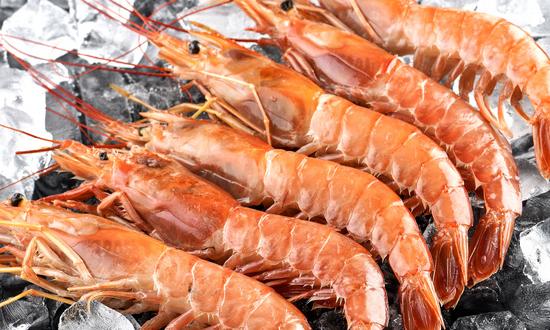 冷凍水產(chǎn)品行業(yè)發(fā)展分析 2023冷凍水產(chǎn)品市場(chǎng)現(xiàn)狀趨向