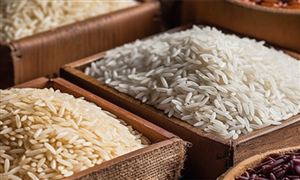 2023糧食物流行業(yè)市場全景分析報(bào)告