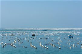 2023海洋經(jīng)濟產(chǎn)業(yè)結(jié)構(gòu)與高質(zhì)量發(fā)展空間