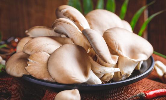 食用菌行業(yè)分析 平菇行業(yè)市場(chǎng)發(fā)展現(xiàn)狀分析2023