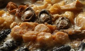 營養(yǎng)品項目市場需求預(yù)測 2023營養(yǎng)品項目可行性研究