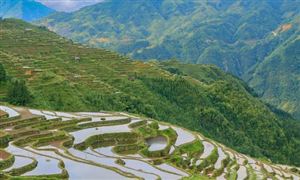 2023年全國農(nóng)資打假和監(jiān)管工作要點 全面推進獸藥二維碼追溯監(jiān)管