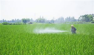 2023年中國(guó)生物農(nóng)業(yè)行業(yè)發(fā)展分析