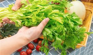 中國(guó)抗衰老食品行業(yè)消費(fèi)需求 中國(guó)抗衰老食品行業(yè)投資前景預(yù)測(cè)