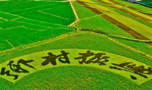 鄉(xiāng)村產(chǎn)業(yè)振興行業(yè)發(fā)展現(xiàn)狀及投資規(guī)劃研究