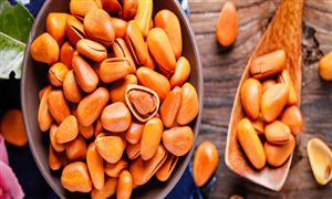 休閑食品調(diào)研　松子行業(yè)市場消費現(xiàn)狀及行業(yè)未來發(fā)展趨勢