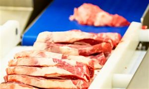 肉類加工產(chǎn)業(yè)發(fā)展現(xiàn)狀 肉類加工產(chǎn)業(yè)未來發(fā)展趨勢預(yù)測