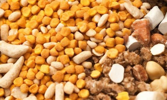 2023狗飼料行業(yè)市場運行前景現(xiàn)狀分析