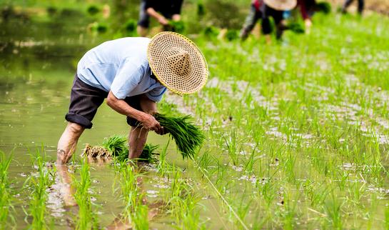 2023年中國農(nóng)業(yè)投資行業(yè)發(fā)展分析