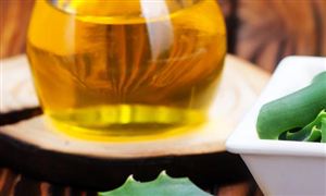 中國DHA藻油零售行業(yè)發(fā)展趨勢分析 中國DHA藻油零售行業(yè)投資前景預(yù)測