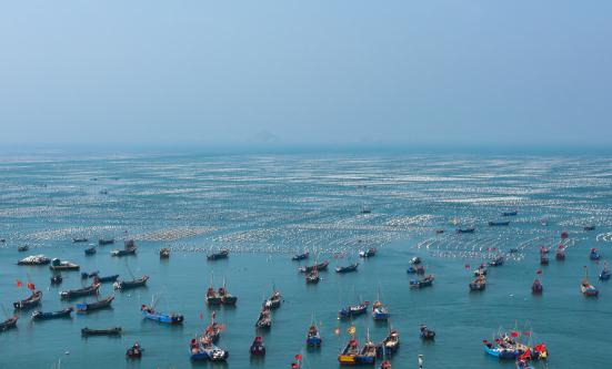 2023海洋養(yǎng)殖行業(yè)未來發(fā)展趨勢及前景預(yù)測