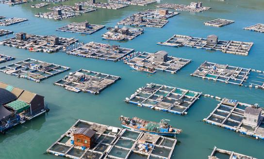 海洋養(yǎng)殖行業(yè)未來發(fā)展前景如何？2023年海洋養(yǎng)殖行業(yè)深度分析