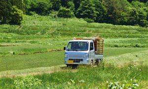 中國(guó)輕型卡車(chē)市場(chǎng)深度全景調(diào)研及投資前景分析2023