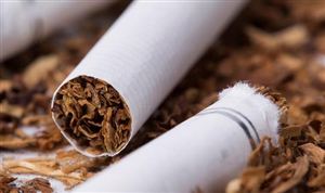 中國煙草生產(chǎn)行業(yè)發(fā)展前景及投資風險預測分析
