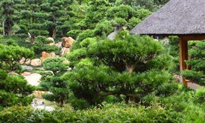 園林綠化行業(yè)目前正處于快速發(fā)展時期 城市園林綠化行業(yè)發(fā)展前景廣闊