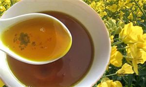 菜籽油多頭趨勢(shì)較強(qiáng) 菜籽油行業(yè)發(fā)展現(xiàn)狀投資研究