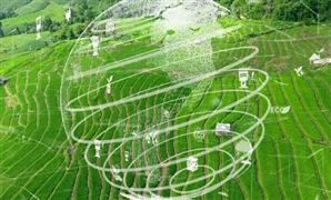 農(nóng)業(yè)經(jīng)濟(jì)行業(yè)市場(chǎng)現(xiàn)狀分析 農(nóng)業(yè)經(jīng)濟(jì)行業(yè)未來趨勢(shì)研究分析