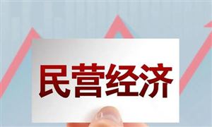 促進(jìn)民營經(jīng)濟(jì)做大做優(yōu)做強(qiáng) 民營經(jīng)濟(jì)行業(yè)市場全景調(diào)研