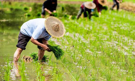 中國農業(yè)碳中和技術行業(yè)現狀分析2023