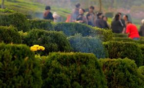 陵園墓地行業(yè)全景調(diào)研及行業(yè)發(fā)展?jié)摿Ψ治?023