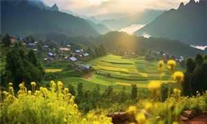 構(gòu)建現(xiàn)代鄉(xiāng)村產(chǎn)業(yè)體系 帶動鄉(xiāng)村振興全面發(fā)展 農(nóng)事活動與旅游相結(jié)合的農(nóng)業(yè)旅游新模式