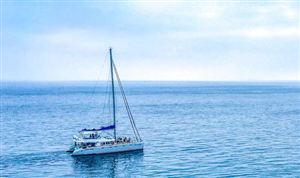上海推進5G網(wǎng)絡近海覆蓋和融合應用 2023年中國海上寬帶衛(wèi)星通信行業(yè)發(fā)展分析