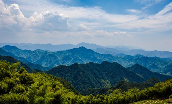 中國森林面積和森林蓄積持續(xù)增長 廣西林木行業(yè)現(xiàn)狀與前景分析