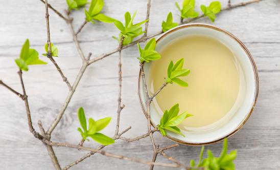 茶多酚市場(chǎng)未來(lái)發(fā)展?jié)摿o(wú)限 茶多酚行業(yè)市場(chǎng)發(fā)展現(xiàn)狀分析2023