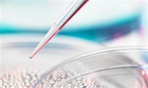 2023生物分子試劑行業(yè)發(fā)展前景投資分析