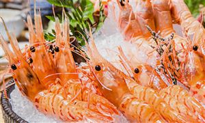 我國水產(chǎn)品消費內銷市場潛力分析 未來水產(chǎn)品生產(chǎn)將加快轉型升級